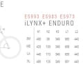 Geometrie-Tabelle der Enduro-Variante ...