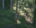 Schnelle 29er Hardtails sind nach wie vor in Mode. Das neue Ghost Lector HT will ein besonders fixes Exemplar mit starrem Heck sein.
