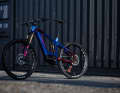 Der Carbonrahmen mit Alu-Hinterbau stammt vom Haibike AllMtn CF SE