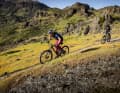 Für leichte Trailbikes um 120 Millimeter Federweg soll der WTB der optimale Partner sein.