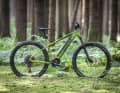 Bionicon Earp 2: Bosch CX // 625 Wh // 24,48 kg // 3399 Euro.
