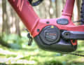 Platzhirsch: Der Bosch Performance CX überzeugt mit Power, Dynamik und Modulation.