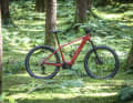 Canyon Gand Canyon:On 8: 3799 Euro // 120 mm // 29 Zoll // Bosch CX // 750 Wh Powertube fest verbaut // 24,04 Kilo