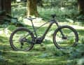 Trek Marlin+ 8: Bosch Active Drive Plus // 400 Wh // 21,84 kg // 3299 Euro.