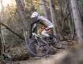 Das Sight meistert den Spagat aus All Mountain und Enduro.