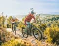 Ibis Ripmo V2S (vo.re.): Temperamentvolles All Mountain Bike