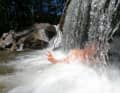 Wir waren an den heißesten Tagen des Jahres im Schwarzwald unterwegs. Da will man sich auch mal hinterm Wasserfall verstecken.