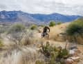 Rund um Tucson gibt es gleich drei große Trail-Netze.