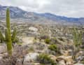 Freier Blick und feinste Trails: Tucson ist ein Traum-Revier für Mountainbiker.