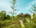 Ein Bike für alles: Von Asphalt bis Trail.