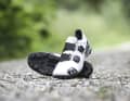 Leatt steigt mit dem ProClip 8.0 Race ins Schotter- und XC-Business ein. Leicht, steif und beqeum sollen die neuen Treter sein. Stimmt das?