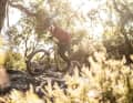 Mit vollen 85 Newtonmetern und der neuen Race-Software von Shimano machen BH und Cannondale auch in anspruchsvollen Uphills eine gute Figur.