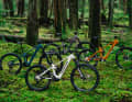 Zweimal SX, zweimal CX: Die neue Palette der Transition Regulator-Bikes.