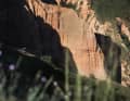 Rote Felsen wie in Utah und Bergwiesen wie in Grindelwald - so schön sind die rumänischen Karpaten.