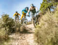 Flink und spaßig über seichte Trails jagen, das ist die Stärke der leichten Trailbikes. Light-E-MTBs wie das Haibike (Mitte) haben hier klare Vor­teile gegenüber den klassischen E-MTBs mit starken, aber schweren Motoren.
