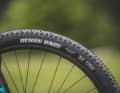 Die schnellen Maxxis-Reifen kennt man eher aus dem Race-Segment.
