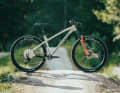 Dartmore Primal Pro 29