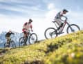 Im Stehen oder im Sitzen fahren? In langen Uphills gilt: Die Abwechslung macht’s!