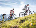 Die Frage nach dem Preis-Leistungs-Verhältnis ist die vielleicht wichtigste beim Bike-Kauf. Wir klären, welche Deals ihr Geld wirklich wert sind.