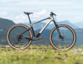 Aus dem einstigen Vollblut-Racer Focus Raven ist 2023 ein vielseitiges Hardtail mit Federwegsplus geworden.