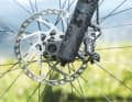 Vier gewinnt zum Ersten: Mit vier Kolben packen die Shimano XT Bremsen am Rocky Mountain Allmountain überaus kraftvoll zu. Auf langen Abfahrten aber liefen die 180er-Scheiben heiß.