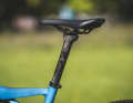 Am Bulls Wild Edge Team spart die starre Stütze aus Carbon zwar Gewicht, in anspruchsvollen Abfahrten werden sich Crosscountry-Racer aber ein versenkbares Modell wünschen.