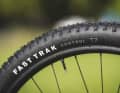 Die hauseigenen Specialized-Reifen machen am Cross-Country-Bike einen hervorragenden Job.
