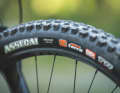 Die 2,6er-Maxxis-Reifen bringen viel Komfort. Sportliche Piloten wünschen sich aber ein präziseres Handling, denn das Fahrgefühl wird mit den breiten Walzen bisweilen etwas schwammig.