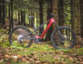 Canyon Neuron:On CF7, 23 Kilo