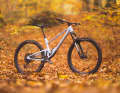 Scor 2030 GX: Der Rahmen verfügt über eine uneingeschränkte Bikepark-Freigabe.