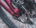 Der Hinterradwechsel gelingt dank dem integrierten Inbus ohne zusätzliches Werkzeug.