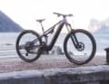 Cube Stereo Hybrid One55 SLT // Bosch Perf. CX // 750 Wh // 160/150 mm // 29 Zoll // 22,6 kg // 9999 Euro