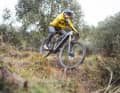 Das Handling auf dem Trail ist ausgewogen und sportlich. Trails sind definitiv der ideale Einsatzbereich für das Cube Stereo Hybrid One 55.