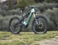 Canyon Spectral:On CFR: Shimano EP801 // 720 oder 900 Wh // 160/155 mm // 29/27,5 Zoll (Mullet) // 22,2 oder 23,1 kg // 9499 oder 9899 Euro.