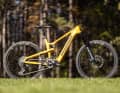 Propain Ekano CF // Sram Eagle Powertrain (Brose) // 630 Wh // 180/170 mm // 29 Zoll // 23,39 kg // 11649 Euro.