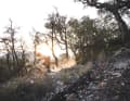 Crossworx bewirbt das Dash 290 als Enduro. Die 36er-Fox-Federgabel mit 160 Millimeter Federweg, der Float-X-Dämpfer sowie die leichte Maxxis-Reifen-Kombi sprechen aber eher die Sprache eines All Mountains.