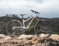 Crossworx Dash 290 / 15,7 kg / 160 und 155 Millimeter Federweg / 29" / 7199 Euro / Aluminium