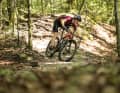 Hardtails sind die optimalen Mountainbikes für Vollgas in Angriffsposition. Aber auch gutmütige Touren-MTBs und Kinder-Bikes werden vom Hardtail-Konzept abgedeckt.