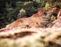 Der Grand Luberon im Süden Frankreichs ist eine Spielwiese für die Enduro-Profis des Landes.
