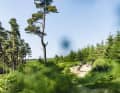 Die Britischen Inseln sind bekanntlich Europameister was die Anzahl von Trailcentern betrifft. Irland holt gerade mit 5 Spots auf: Ticknock, Coolaney, Ballinastoe, Ballyhoura und Slieve Blooms.