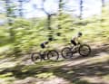 Kids stehen auf Speed! Leichte Race-Hardtails und -Fullys sind wie gemacht für angehende Mountainbike-Profis.