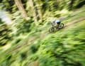 Mona leistete in so manchem Downhill die Führungsarbeit für Philipp, der mit einem gebrochenen Knochen in der Hand an den Start der Maxxis BIKE Transalp rollte.