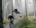 Shredden mit Elias Schwärzler...