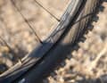 30 Millimeter Innenweite gehören an modernen MTB-Laufrädern inzwischen zum Standard. Auch der Chris King MTN AL30 vertraut auf diese Maße.
