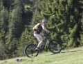 Auch mit nominell “nur” 70 Newtonmetern geht dem Specialized Tero X bergauf nicht so schnell die Puste aus.
