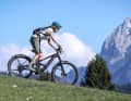 Bergab bietet das Turbo Tero X von Specialized eine hohe Fahrsicherheit.