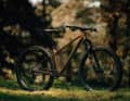 Klare Linien, robustes Design - Orbea Laufey LTD 2023