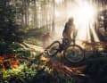 Die Lichtstimmung auf den Trails ist im Herbst besonders schön.