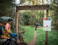 Krappenberg: Hier durften die Locals mit behördlicher Genehmigung drei Trails nach ihren Vorstellungen shapen.