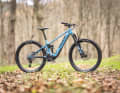 Pivot Shuttle AM Ride SLX/XT // Bosch Performance CX // 625 Wh // 22,4 kg // 160/150 mm // 8299 Euro